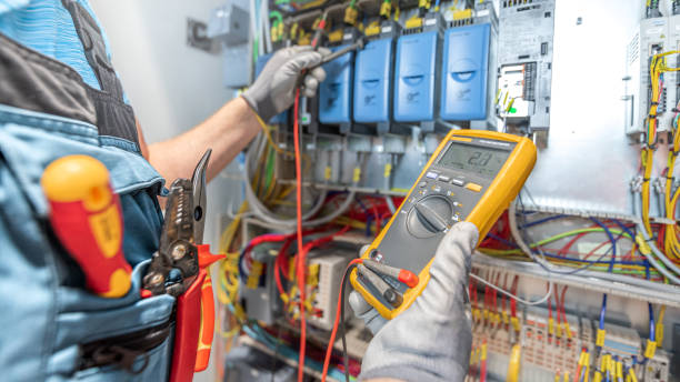 Best Electric Panel Repair  in Pecan Plantation, TX